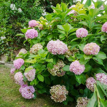 La Posada De Langre Anexo Ngoại thất bức ảnh