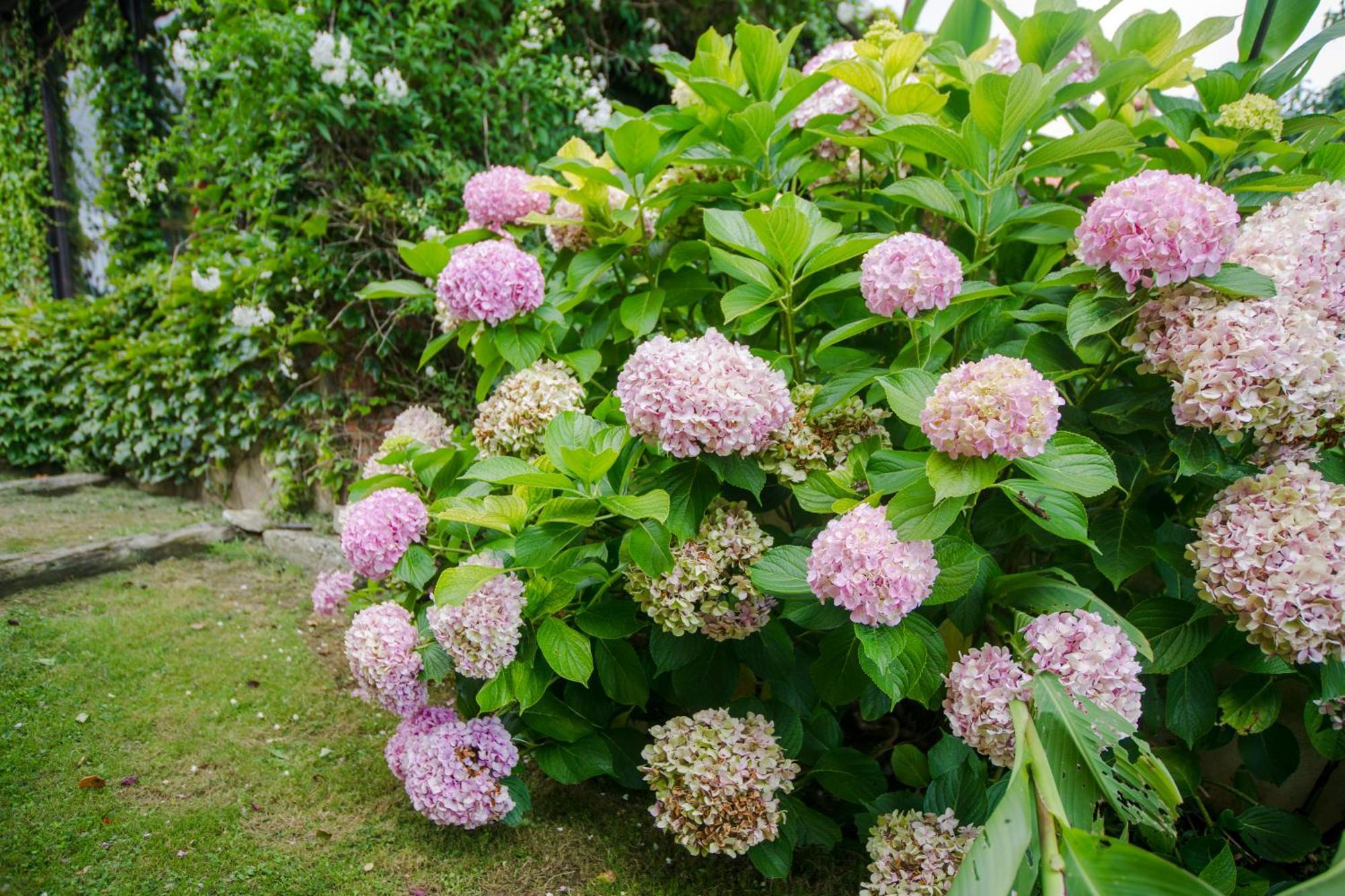 La Posada De Langre Anexo Ngoại thất bức ảnh