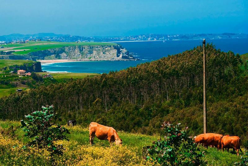 La Posada De Langre Anexo Ngoại thất bức ảnh